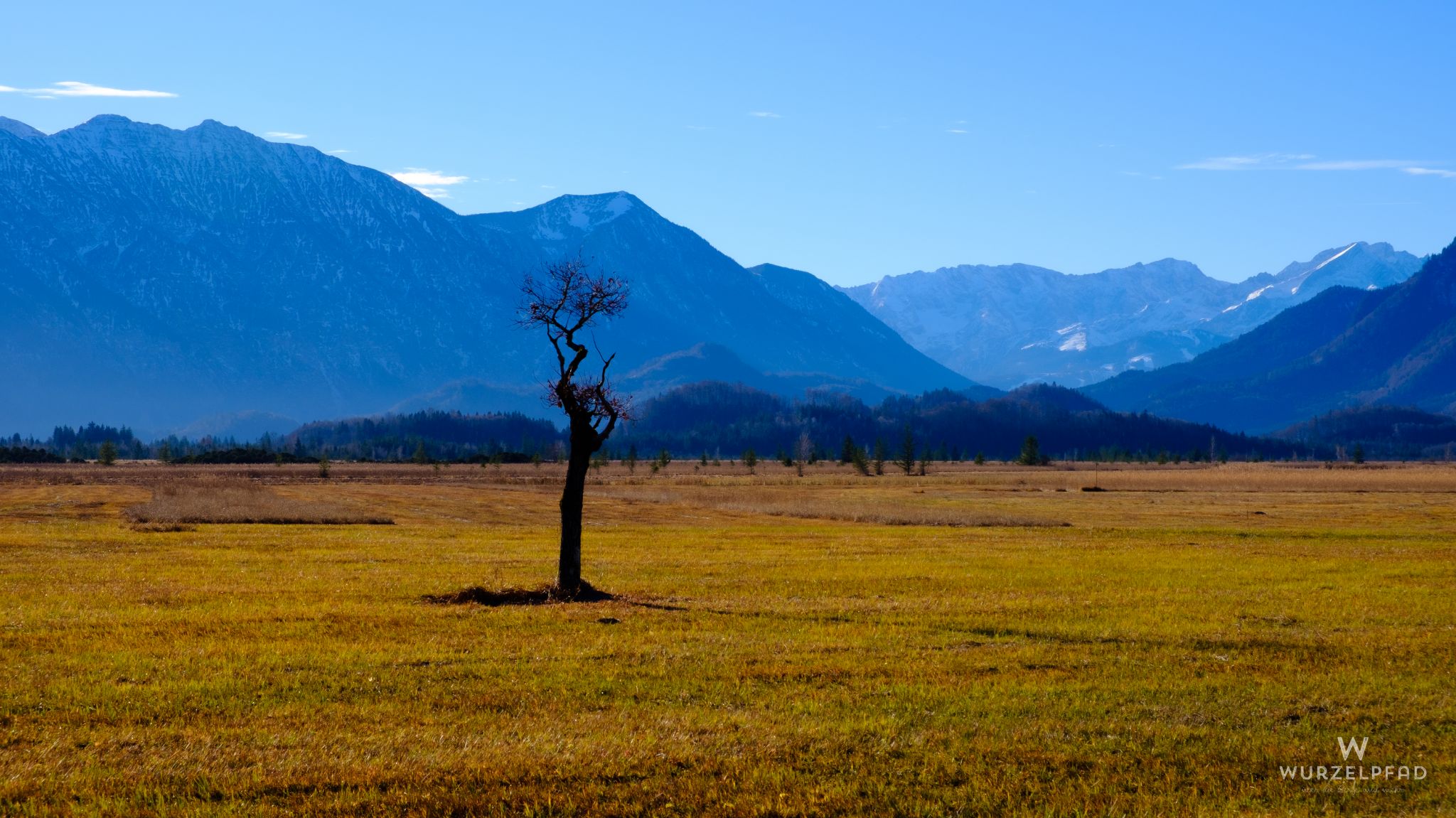 Murnauer Moos - Blick zum Wettersteingebirge